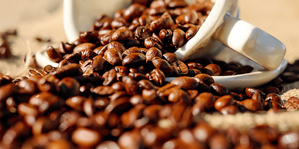 coffeecafe.co.in